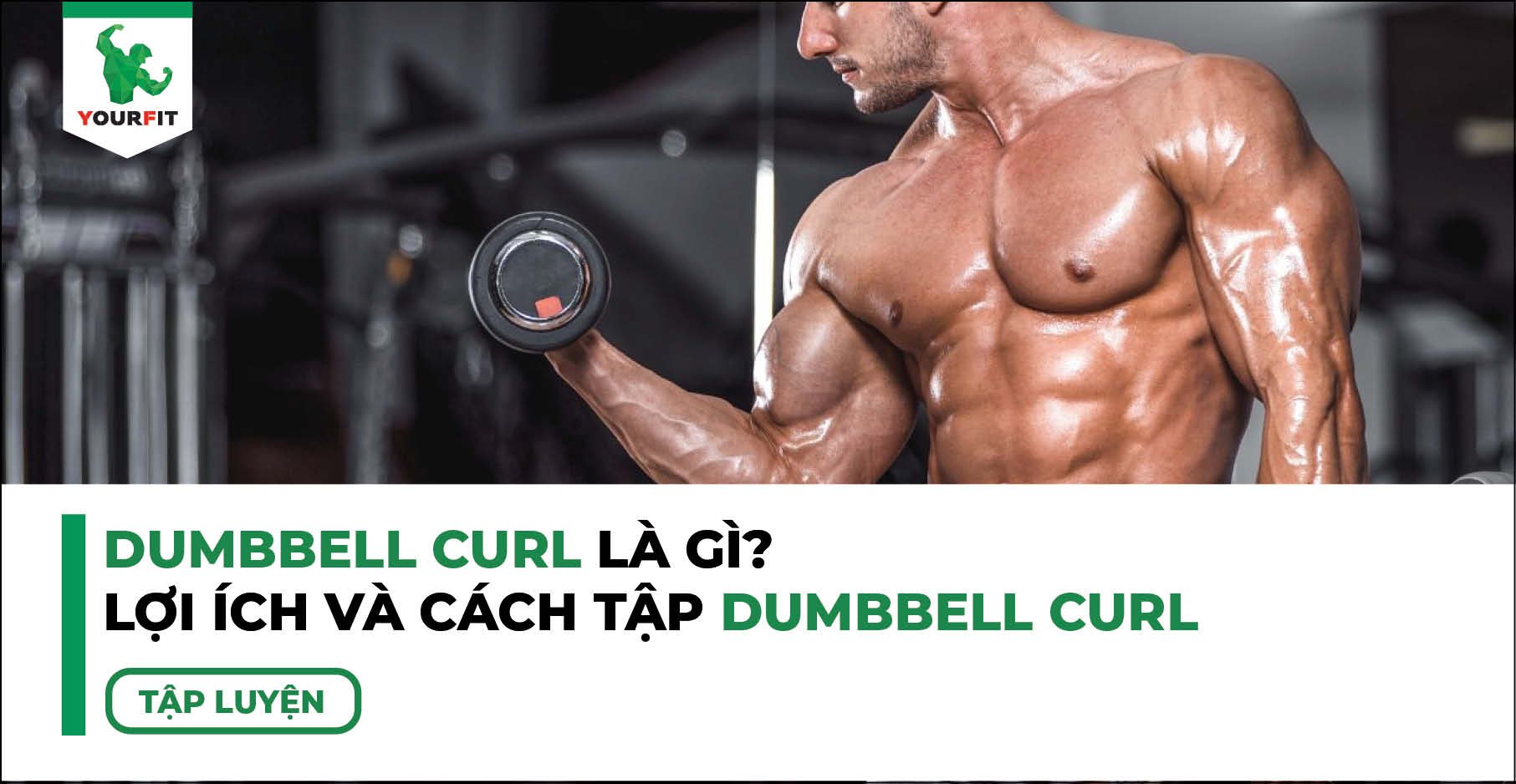 Dumbbell Curl là gì? Lợi ích và cách tập Dumbbell Curl đúng cách