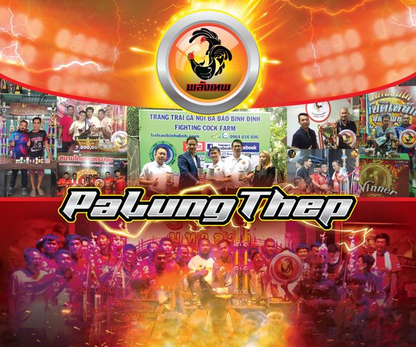 Chào Mừng PaLung Thep đến với Hội Gà Chọi Dân Gian 2023