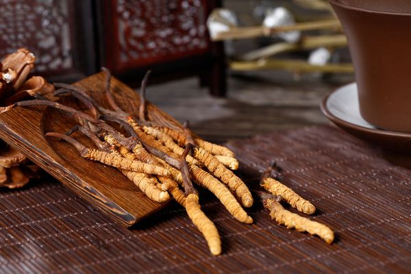 Cẩn thận đông trùng hạ thảo giả tràn lan trên thị trường