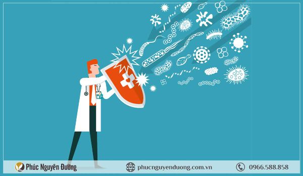 Làm gì để tăng cường hệ miễn dịch?
