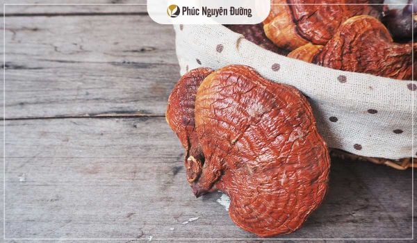 Những ai không nên sử dụng nấm linh chi