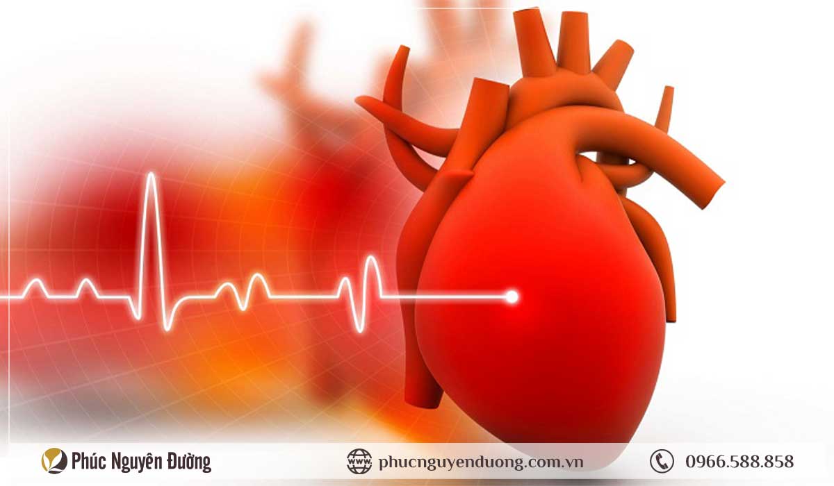 Cách phòng tránh Suy Tim, Đột Quỵ cho người mắc bệnh rối loạn nhịp tim