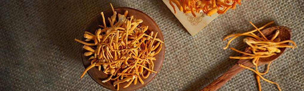 Đông trùng hạ thảo Hàn Quốc