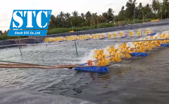 CÁCH XỬ LÝ NƯỚC DÙNG CHO NUÔI TÔM CÁ CÔNG NGHỆ CAO THEO MÔ HÌNH STC