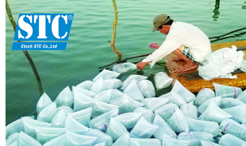 KỸ THUẬT CHỌN VÀ THẢ TÔM GIỐNG