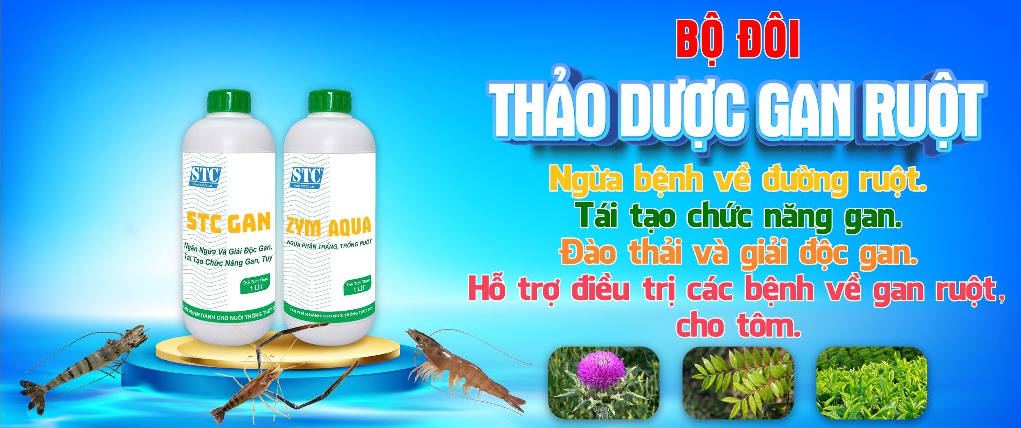 Thảo dược nuôi tôm