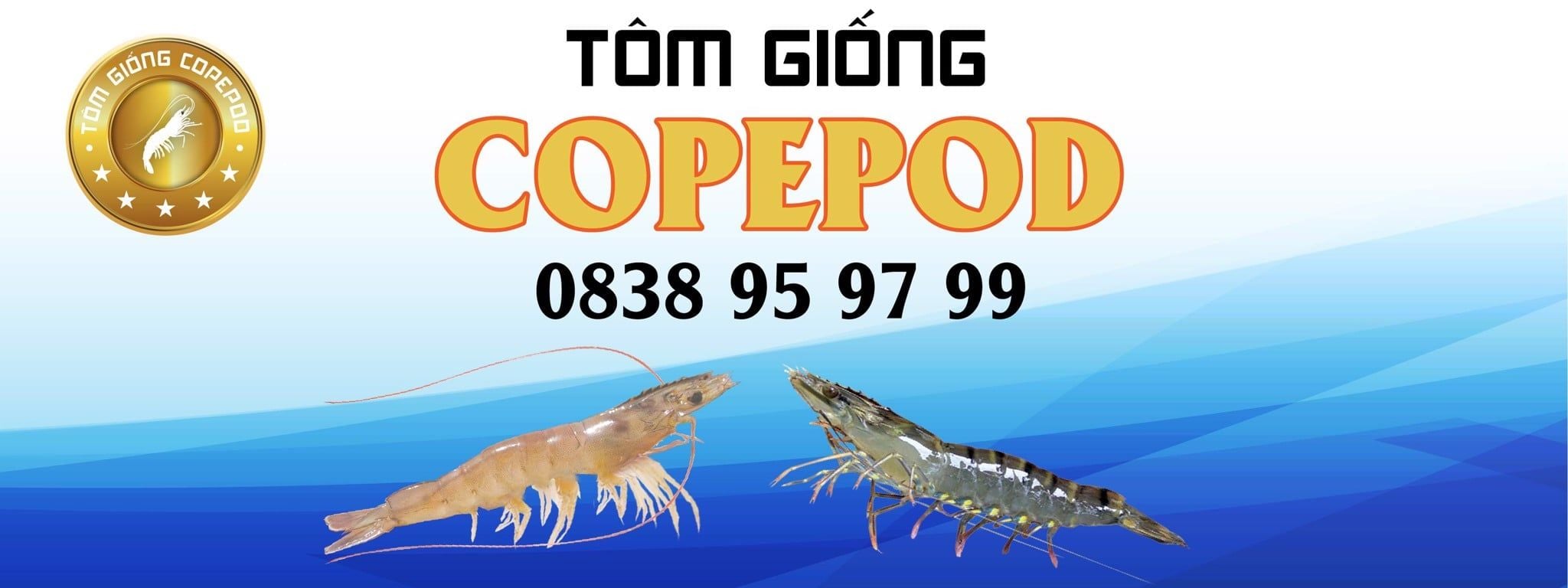 Con giống Etech STC