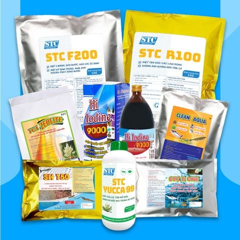 Xử lý ao nuôi tôm