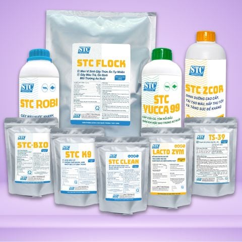 Nuôi cá ếch lươn