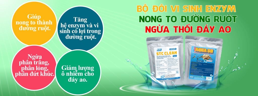 BỘ ĐÔI ENZYM VI SINH NONG TO ĐƯỜNG RUỘT