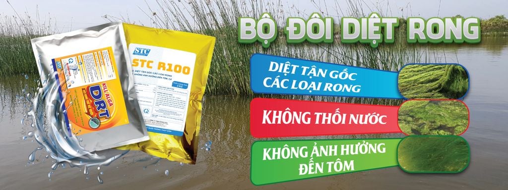 BỘ ĐÔI DIỆT RONG TRONG AO NUÔI TÔM CÁ