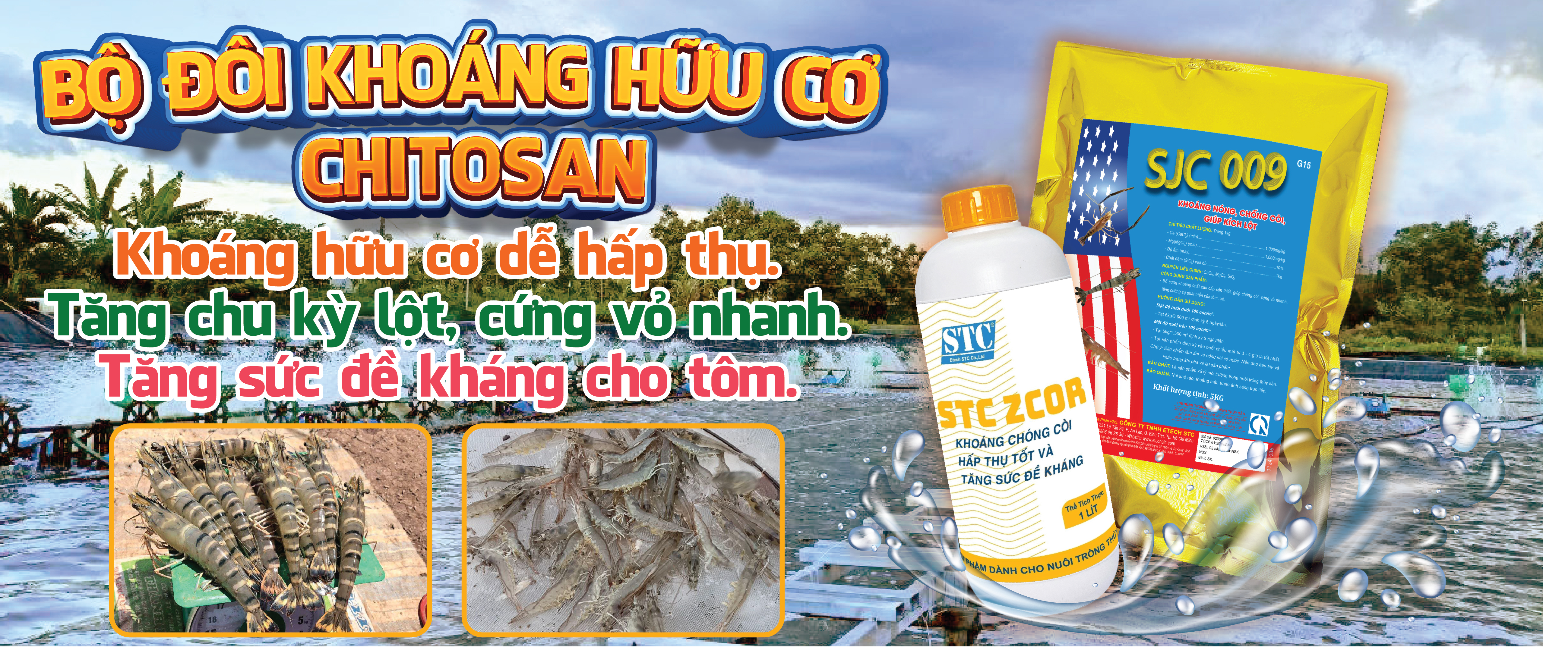 BỘ ĐÔI KHOÁNG HỮU CƠ