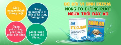 BỘ ĐÔI ENZYM VI SINH NONG TO ĐƯỜNG RUỘT