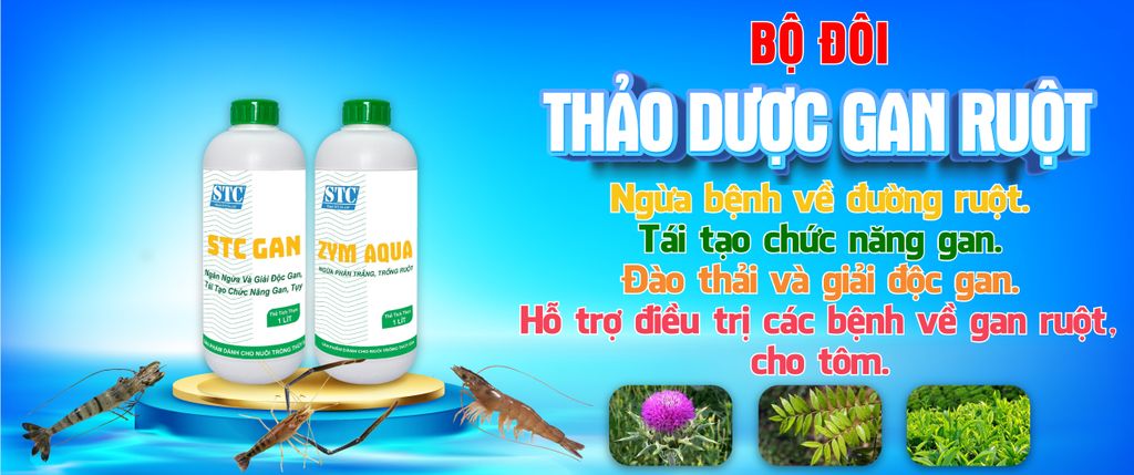 COMBO THẢO DƯỢC GAN RUỘT 
