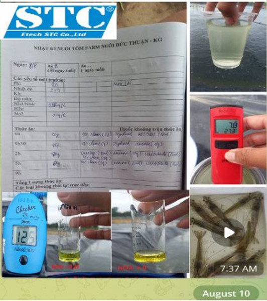 XỬ LÝ KHÍ ĐỘC NH3, NO2-, H2S TRONG AO NUÔI TÔM, CÁ