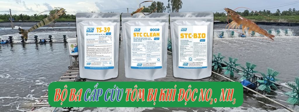 BỘ BA CẤP CỨU TÔM BỊ KHÍ ĐỘC NO2, NH3