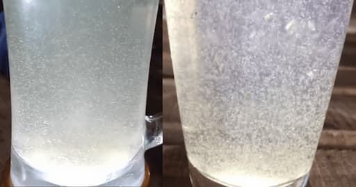 Men vi sinh gây thức ăn tự nhiên