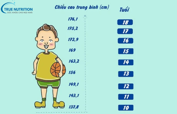 Chiều Cao Bé Trai 11 Tuổi Tiêu Chuẩn Và Cách Chăm Sóc Phát Triển Chiều Cao