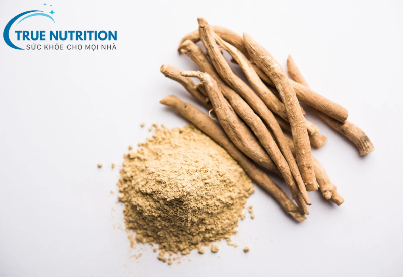 Ashwagandha là gì? Tác dụng và cách sử dụng thảo dược để cải thiện sức khỏe