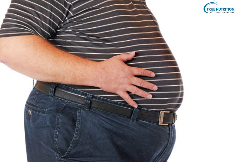 Nguyên Nhân Bệnh Béo Phì: Những Yếu Tố Dẫn Đến Tình Trạng Thừa Cân