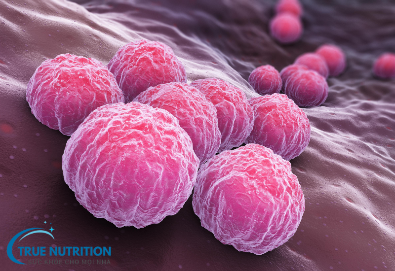 Bệnh Chlamydia Những Điều Cần Biết Để Phòng Tránh và Điều Trị Hiệu Quả