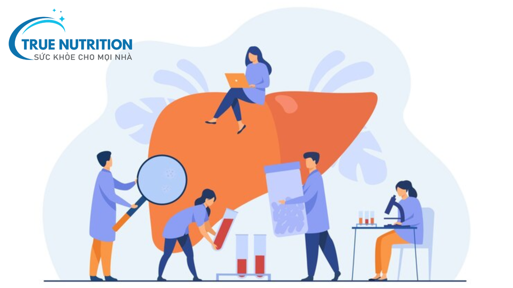 Bệnh Gan: Căn Bệnh Âm Thầm Ai Cũng Có Nguy Cơ