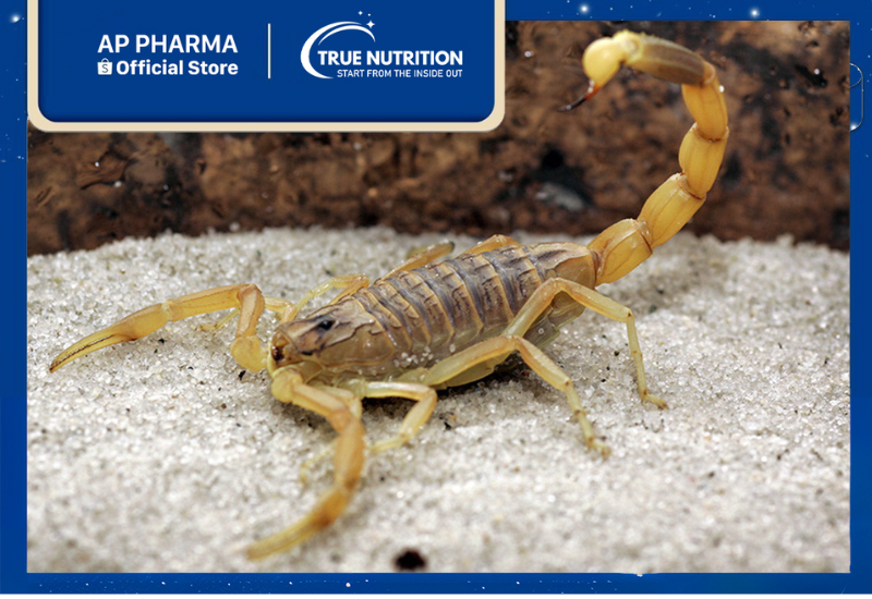 Bọ Cạp Dược Liệu: Công Dụng, Cách Dùng Và Những Sản Phẩm Liên Quan