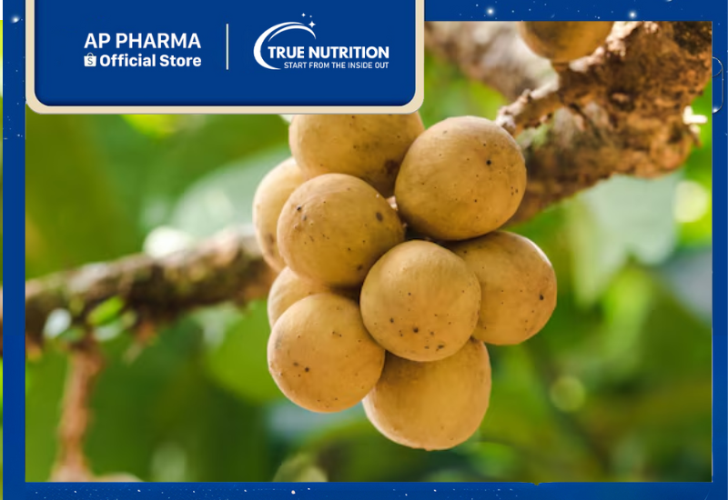 Cây Bòn Bon: Tác Dụng và Giá Trị Dinh Dưỡng Kỳ Diệu