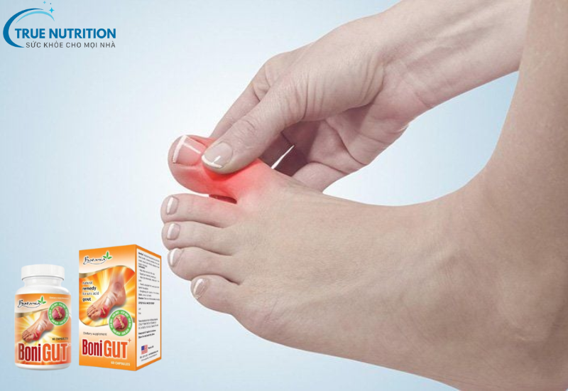 Bonigut Giá Bao Nhiêu? Tìm Hiểu Về Giá Cả và Chất Lượng Sản Phẩm