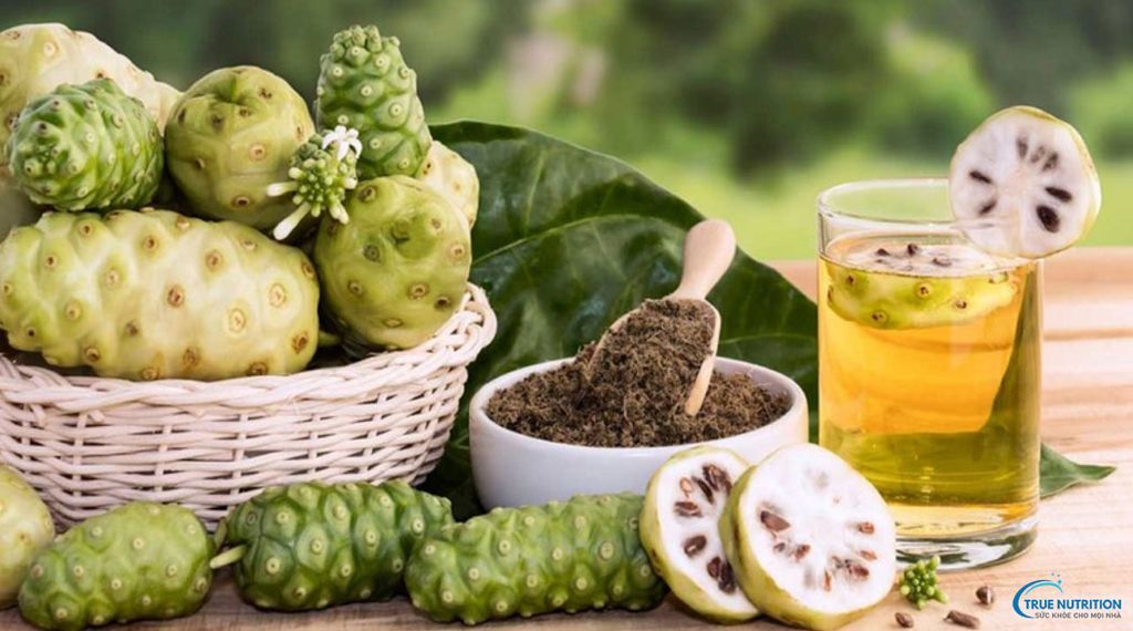 Cách Ngâm Trái Nhàu Đường Phèn, Lợi Ích, Lưu Ý, Cách Sử Dụng