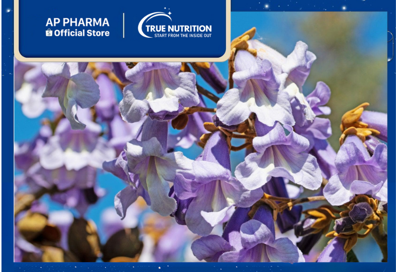 Cây Hông: Lợi Ích Sức Khỏe và Cách Trồng Đơn Giản