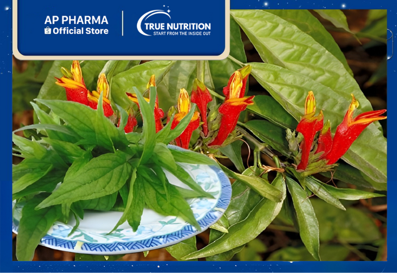 Cây Bìm Bịp: Công Dụng Chữa Bệnh và Cách Sử Dụng Hiệu Quả