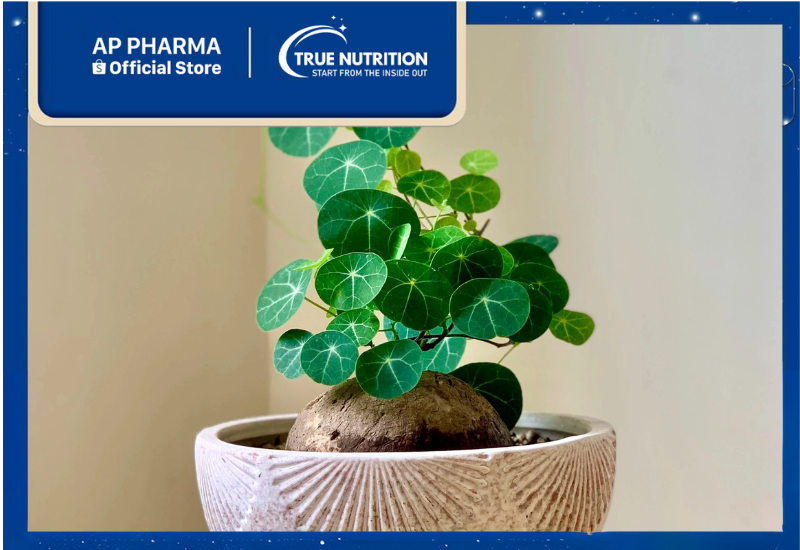 Bình Vôi: Công Dụng và Cách Dùng Hiệu Quả trong Cuộc Sống