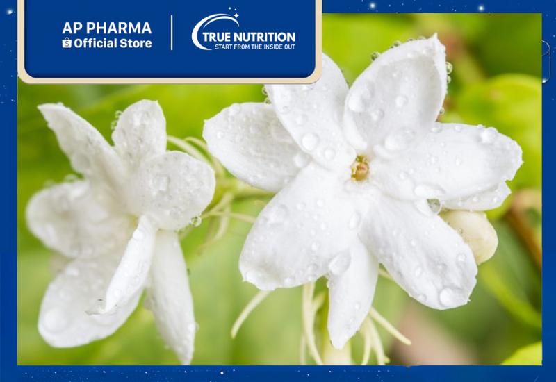 Cây Hoa Lài: Bí Quyết Chăm Sóc Và Trồng Cây Hoa Lài Đẹp