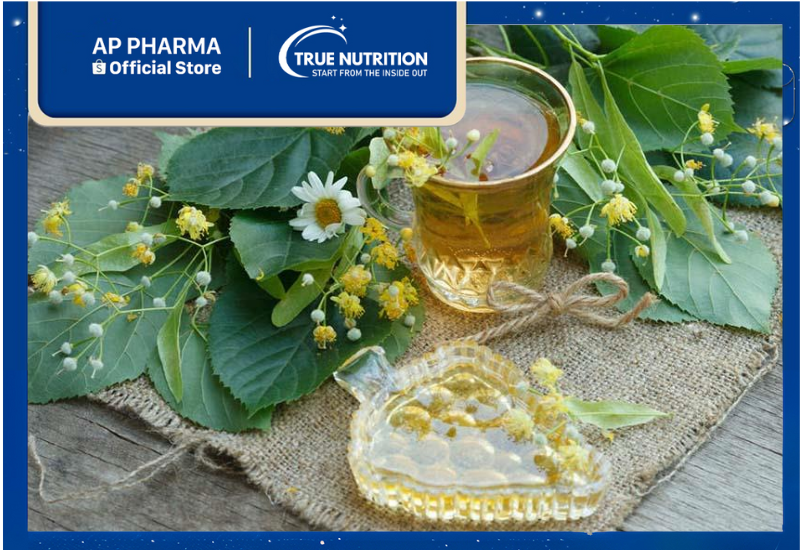 Cây Lá Bạc: Dược Liệu Quý Giá Trong Y Học Cổ Truyền Việt Nam