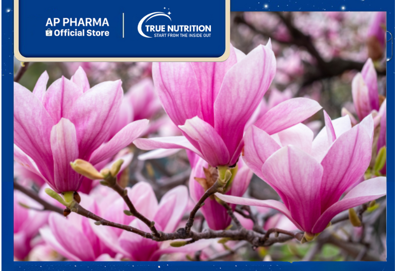 Cây Mộc Lan: Thảo Dược Quý Giá và Tác Dụng Tuyệt Vời