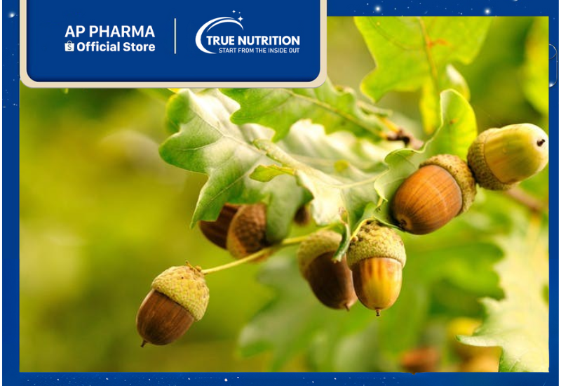 Cây Sồi: Khám Phá Đặc Điểm Và Ứng Dụng Trong Công Nghiệp