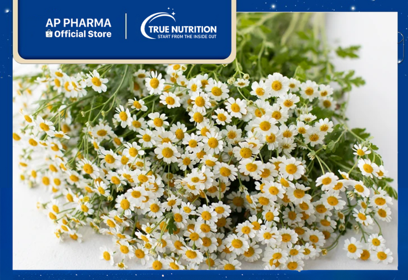 Cây Cỏ Thơm: Vị Thuốc Tự Nhiên Trị Đau Nửa Đầu, Buồn Nôn