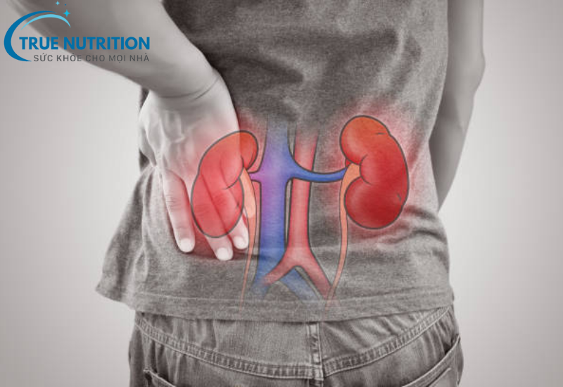 Dấu Hiệu Suy Thận: Nhận Biết Sớm Để Bảo Vệ Sức Khỏe Thận