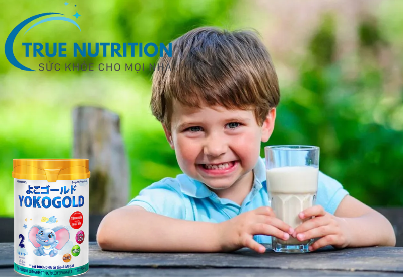 Giá Sữa Yoko Gold 2: Cập Nhật Mới Nhất 2024 – Chất Lượng Và Giá Thành