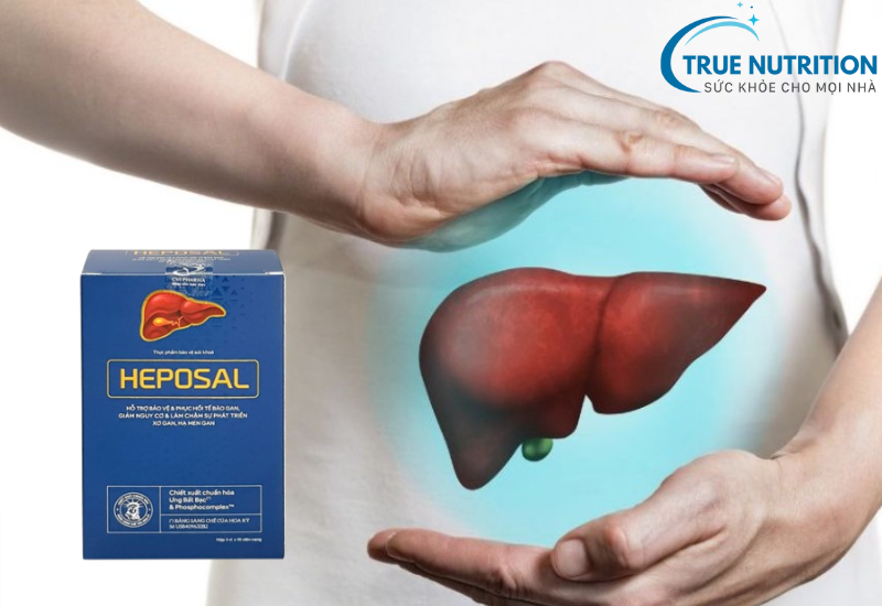 Heposal có tốt không? Đánh giá chi tiết về sản phẩm bảo vệ gan