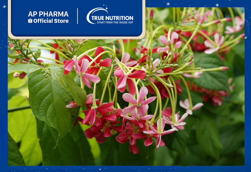 Hoa Giun: Khám Phá Đặc Điểm Nổi Bật và Giá Trị Khoa Học