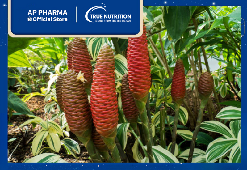 Hoa Rong Riềng: Dược Liệu Quý và Những Công Dụng Tuyệt Vời