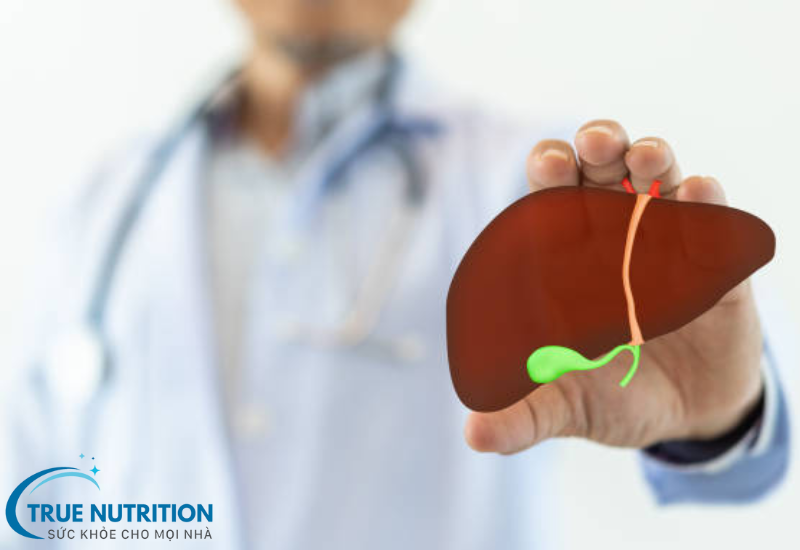 Làm Sao Biết Gan Có Vấn Đề? 7 Dấu Hiệu Cảnh Báo Cần Lưu Ý Ngay