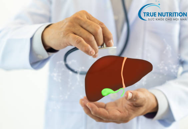 Lysin Có Phải Là Thuốc Bổ Gan Không? Tác Dụng Thực Sự Của Lysin