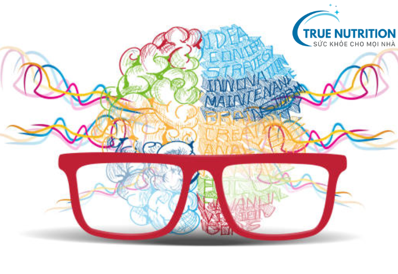 Não Bộ Có Bao Nhiêu Tế Bào? Cấu Trúc Thần Kinh Và Khả Năng Ghi Nhớ