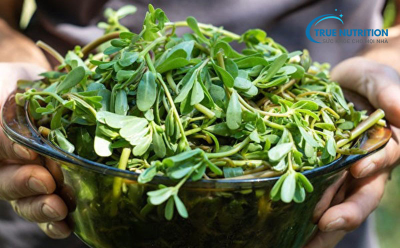 Cảnh báo Dùng rau sam gây suy thận – Công Ty CP True Nutrition