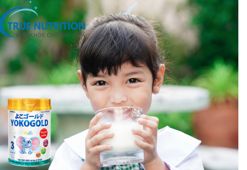 Giá Sữa Bột Yoko 2024 – Thông Tin Chi Tiết và Bảng Giá Cập Nhật Mới Nhất