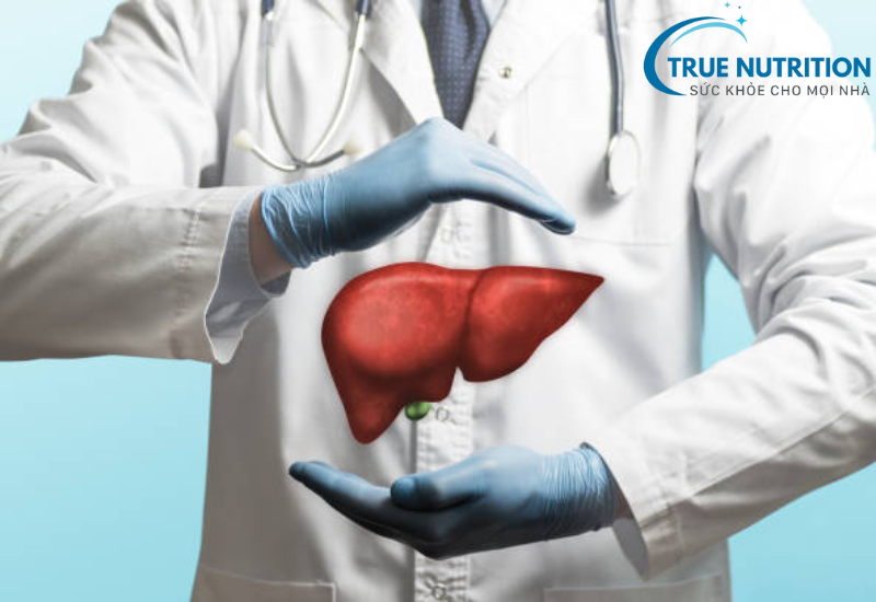 Tại Sao Bị Gan Nhiễm Mỡ? Hiểu Rõ Nguyên Nhân Để Bảo Vệ Gan Khỏe Mạnh