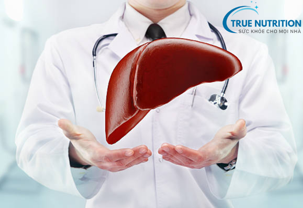 Tại Sao Cần Uống Bổ Gan? Lợi Ích Từ Việc Hỗ Trợ Chức Năng Gan